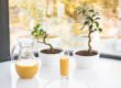Square One Juice Formula