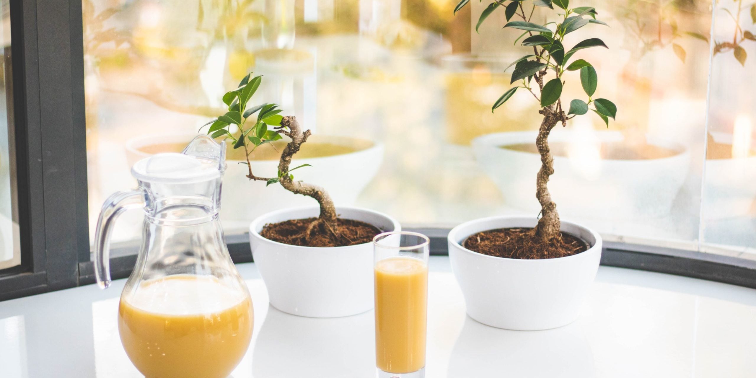 Square One Juice Formula